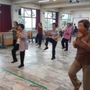 용인대 우리i 태권도 이미지