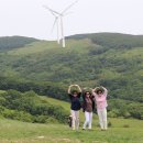 하늘목장 티스토리
