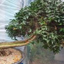 토종농장 이미지