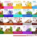 도일전자 이미지