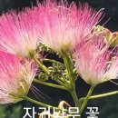 풀 약초로 잼만들어 밥짓고 칼국수 닭도리탕등 만들기 이미지