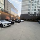 NC정육