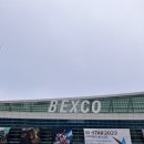 벡스코 지스타 2023 DAY1 머글이 다녀온 후기(넷마블 게임 / 모코코 리프레시 카페 / 쿠키런 모험의 탑)
