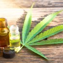 대마축산 이미지