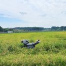 참새&허수아비 이미지