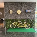 씨유성산골든튤립점 | [제주 성산]제주 골든튤립호텔 성산 트윈베드룸 숙박후기(조식/주차장)