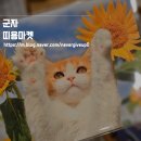 군자 소품샵 띠용마켓