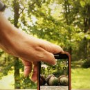 디지털 사진편집 이미지