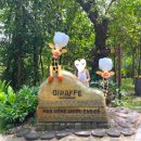 (주)호텔롯데롯데월드롯데워터파크실내동 | 푸꾸옥 빈펄 사파리 입장권 시간 주트램 + 빈원더스 놀이기구 추천 기린식당 찐후기🦒