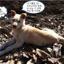 아까금농장 Daum카페
