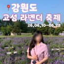 임리농장 | 강원도[고성 라벤더축제] 6월 꽃 축제 실시간 개화 근황, 가볼만한 곳 추천!