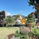 양지119안전센터 이미지