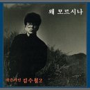 왜 모르시나(김수철) 이미지