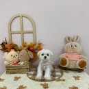 헬로퍼피1 이미지