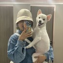 꼬맹이그루밍 이미지