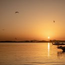 채석포항 이미지