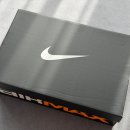 4181 | 팔라스 x 나이키 에어맥스 DN8 제품 리뷰 및 사이즈 후기