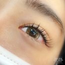 나세르래쉬