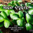 PICTURE&TEXT_20241027_행함과 진실함으로!_요한일서 3장 18절_오순절 후 스물세 번째 주일 & 종교개혁주일 묵상_우리 이미지