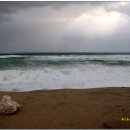 월송정月松亭 이미지