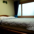 그린 팜파스 이미지