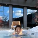 북평6길 | 2026.01 정선강릉 여행 (1) : 파크로쉬 정선 후기, 맛집