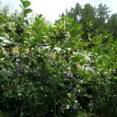 현성농장 이미지