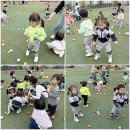 해든실 Daum카페