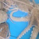 목포해오름 이미지