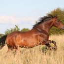 미라클 호스텔 이미지