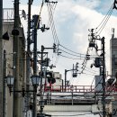 마스타카 이미지