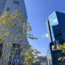 네오캣 스튜디오 | [NCT127] Fact check 231012 엠카 / 팩트체크 목동 팝업/ 231014 음중 사녹 후기