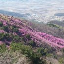 제49차 고려산 진달래꽃 축제 산행 (4월13일) 이미지