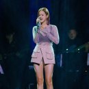 아이비