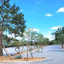 파주 눌노리 체험 캠핑장 이미지