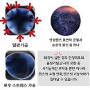 밝은빛안경원 네이버블로그