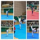 리더스석사태권도 이미지