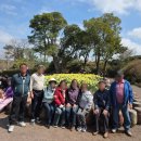 제주도 쏠라티 렌트 | 4월 야외 명소 추천 및 여행사 후기