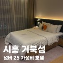 넘버25호텔(No25Hotel) | 시흥 거북섬 숙소 가성비 호텔 넘버25 시네마룸 후기