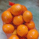 푸르네 과일