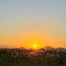 다대포해수욕장 | 다대포해수욕장 노을맛집 방문후기