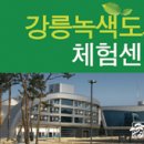 강원원주뉴스) 강원타임즈 "인디오가" 미용실 오석환 원장님 기사 이미지