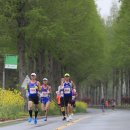 보성체육공원운동장 이미지