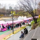 매직 펫 살롱 이미지