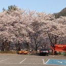 소달 이미지