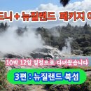 시드니+뉴질랜드 패키지여행 10박12일--(3편:뉴질랜드 북섬) 이미지