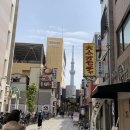 [도쿄 호텔 추천] 리치몬드 프리미어 아사쿠사 인터내셔널 스카이트리 뷰 업그레이드 후기! 🗼❤️