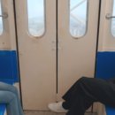 TENDER(텐더)