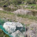 산척면사무소 이미지