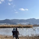 욱이네떡볶이 이미지